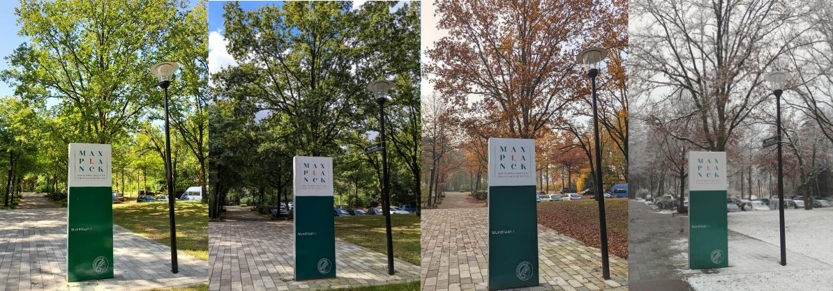 MPI across the seasons